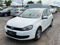 Volkswagen Golf Trendline*NUR AN EXPORT Weiß - thumbnail 3