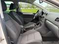 Volkswagen Golf Trendline*NUR AN EXPORT Weiß - thumbnail 12