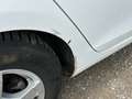 Volkswagen Golf Trendline*NUR AN EXPORT Weiß - thumbnail 31
