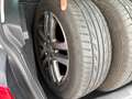 Volkswagen Golf Trendline*NUR AN EXPORT Weiß - thumbnail 26