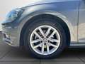Volkswagen Golf 1.5 TSI Evo Advance DSG7 110kW Gris - thumbnail 9