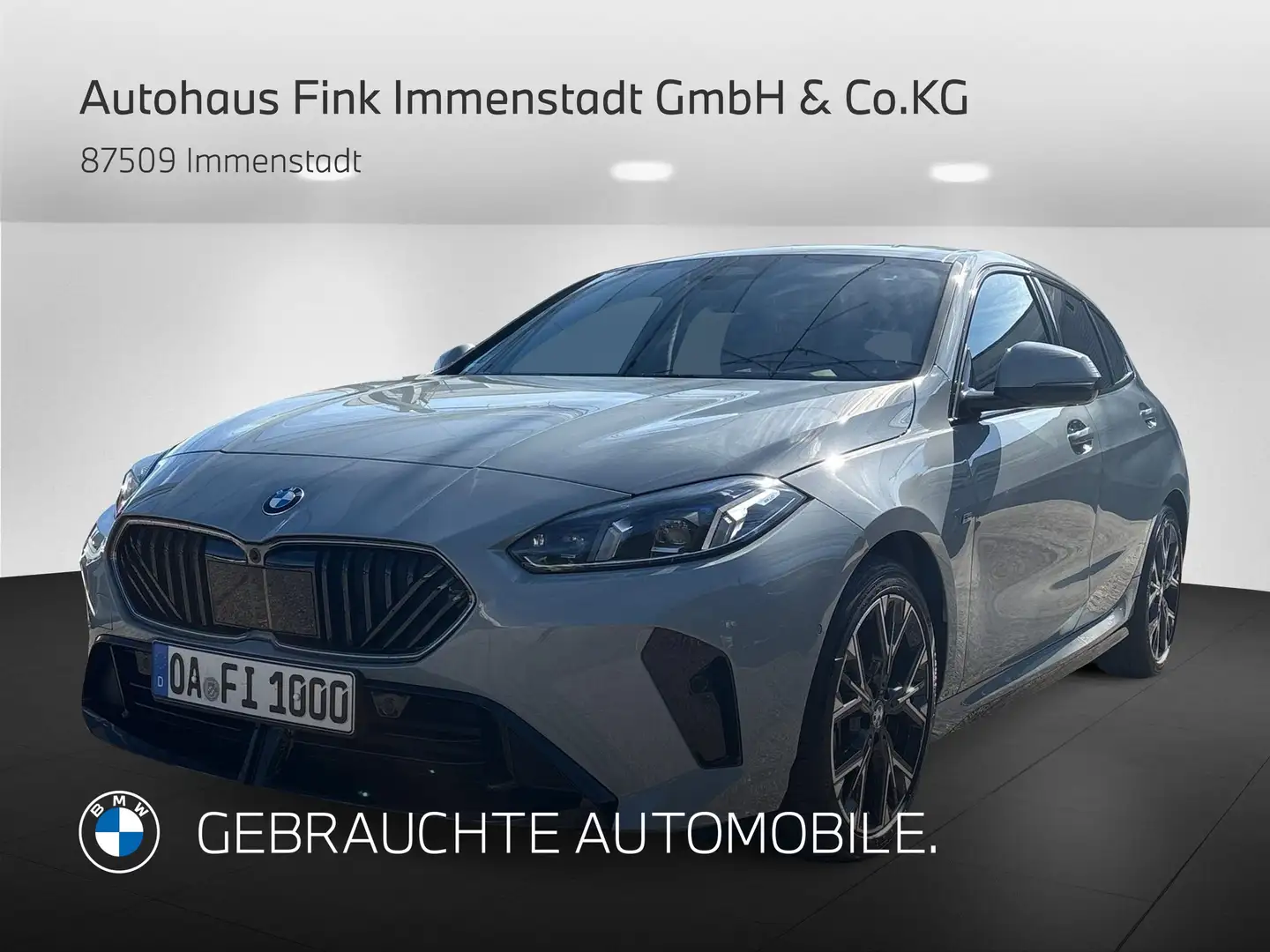 BMW 120 d M Sportpaket Head-Up HK HiFi DAB LED RFK Grau - 1