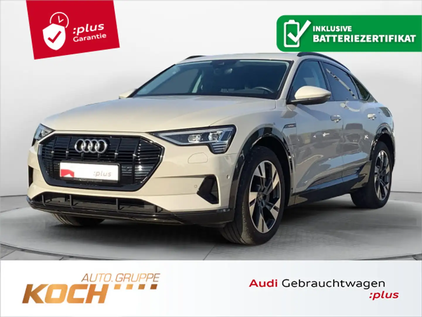 Audi e-tron 50 quattro Advanced, Matrix, AH Beige - 1