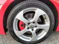 Volkswagen Golf GTD Golf VI 5p 2.0 tdi Gtd Roşu - thumbnail 4