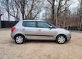 Skoda Fabia Ambiente 1.6 Aut.*Climatic*SZH*WR*PDC*TÜV* Beige - thumbnail 7