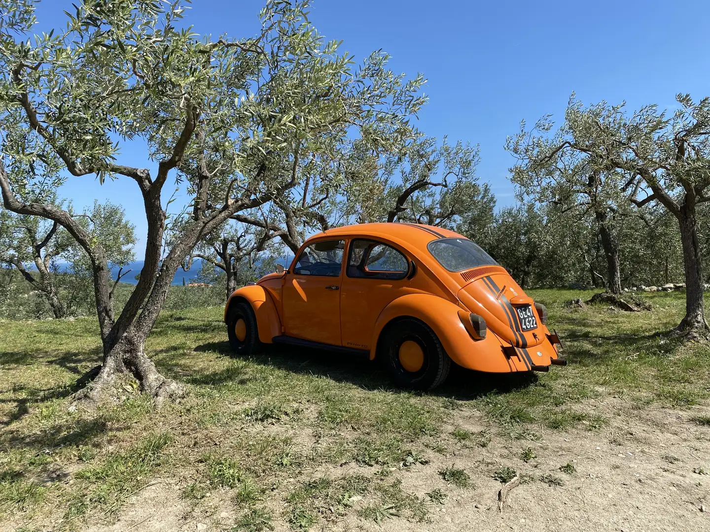 Volkswagen Maggiolino bello - 1