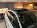 Audi Q3 Q3 Sportback 35 TDI 2x S-Line - AHK - Pano - Matri Weiß - thumbnail 8