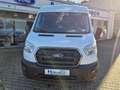Ford Transit Bus 350 L3 Trend/Rollstuhlumbau Wit - thumbnail 2