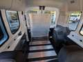 Ford Transit Bus 350 L3 Trend/Rollstuhlumbau Wit - thumbnail 11