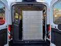 Ford Transit Bus 350 L3 Trend/Rollstuhlumbau Wit - thumbnail 6