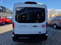 Ford Transit Bus 350 L3 Trend/Rollstuhlumbau Wit - thumbnail 5