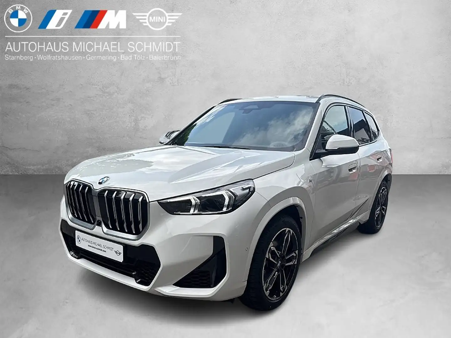 BMW X1 xDrive23i M Sportpaket Head-Up HK HiFi DAB Wit - 1