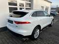 Jaguar F-Pace F-PACE Prestige AWD/ HU/AU Neu Weiß - thumbnail 7
