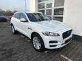 Jaguar F-Pace F-PACE Prestige AWD/ HU/AU Neu Weiß - thumbnail 1