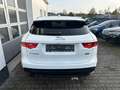 Jaguar F-Pace F-PACE Prestige AWD/ HU/AU Neu Weiß - thumbnail 6