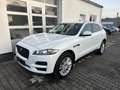 Jaguar F-Pace F-PACE Prestige AWD/ HU/AU Neu Weiß - thumbnail 3