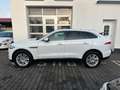 Jaguar F-Pace F-PACE Prestige AWD/ HU/AU Neu Weiß - thumbnail 4