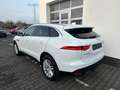 Jaguar F-Pace F-PACE Prestige AWD/ HU/AU Neu Weiß - thumbnail 5