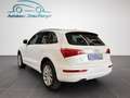 Audi Q5 2.0 TDI DPF quattro Pano Leder Xenon+ Weiß - thumbnail 4