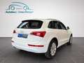 Audi Q5 2.0 TDI DPF quattro Pano Leder Xenon+ Weiß - thumbnail 5