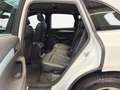 Audi Q5 2.0 TDI DPF quattro Pano Leder Xenon+ Weiß - thumbnail 10