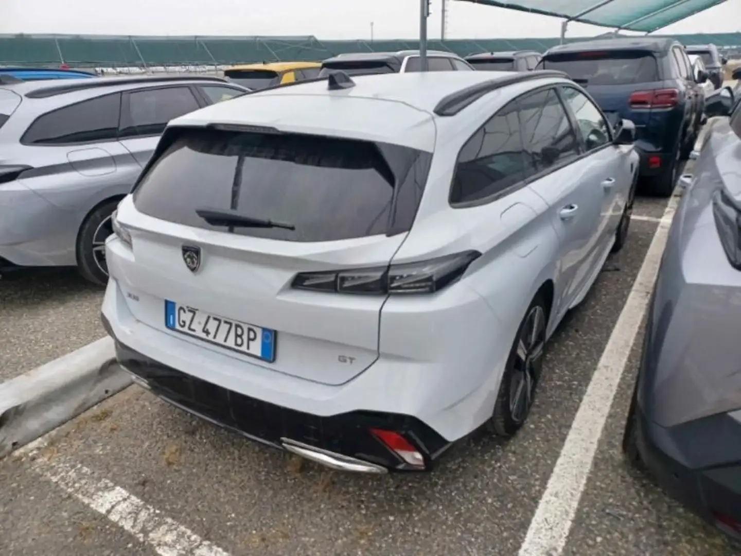 Peugeot 308 308 SW 1.2 hybrid GT 145cv e-dcs 6 - IN ARRIVO! Bianco - 2