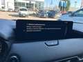Mazda CX-60 3.3 m-hybrid boost rwd 200cv auto PROBLEMI MOTORE Grigio - thumbnail 15