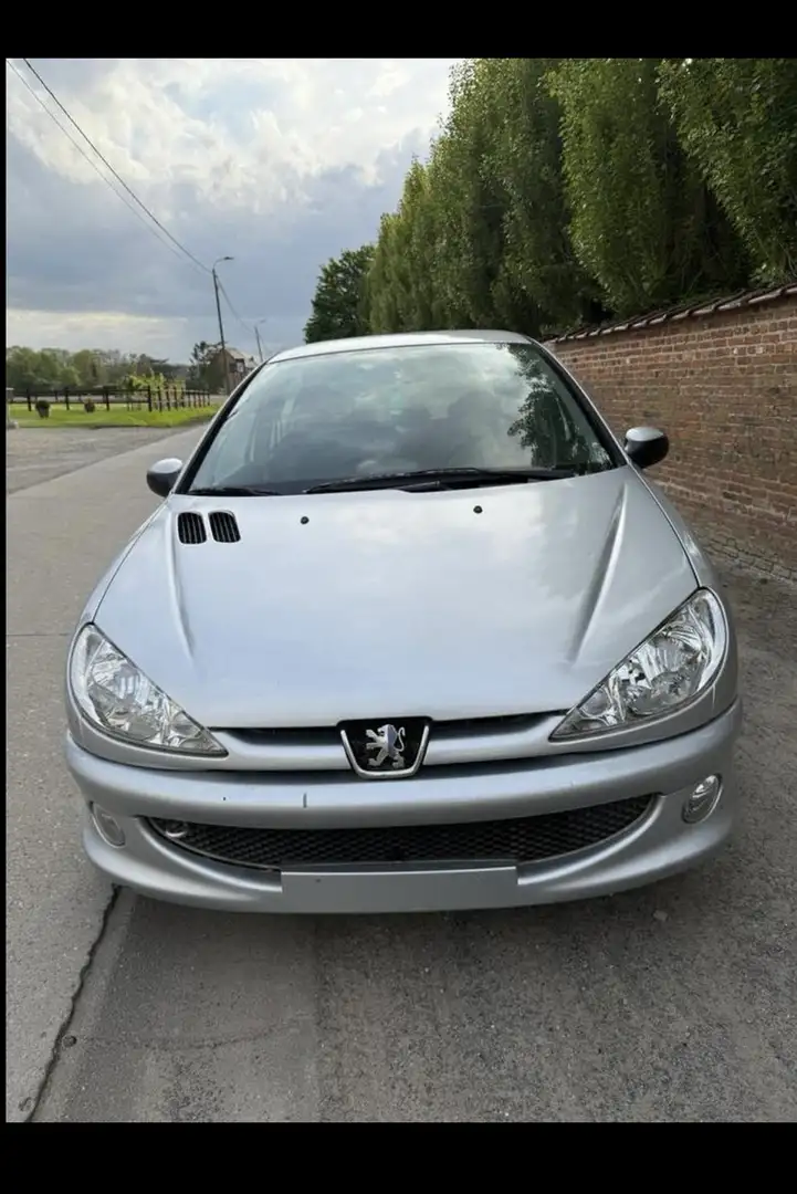 Peugeot 206 Gris - 2