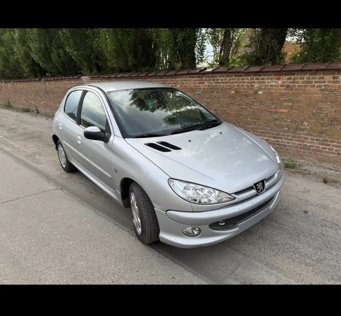Peugeot 206 Gris - 1