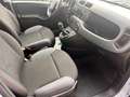 Fiat Panda 1.2 Easy Grigio - thumbnail 9