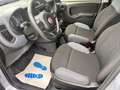 Fiat Panda 1.2 Easy Grigio - thumbnail 7