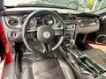Ford Mustang 3,7 Coupe Shelby Style Aut. Xenon Rot - thumbnail 12
