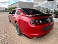 Ford Mustang 3,7 Coupe Shelby Style Aut. Xenon Rot - thumbnail 9