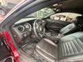 Ford Mustang 3,7 Coupe Shelby Style Aut. Xenon Rot - thumbnail 13
