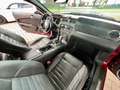 Ford Mustang 3,7 Coupe Shelby Style Aut. Xenon Rot - thumbnail 14