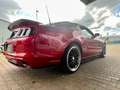 Ford Mustang 3,7 Coupe Shelby Style Aut. Xenon Rot - thumbnail 7