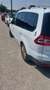 Ford Galaxy Galaxy Business Plus 2,0 TDCi Business Plus Weiß - thumbnail 2