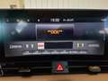 Kia Sportage 1,6 TGDI 48V Gold AWD DCT Grün - thumbnail 23