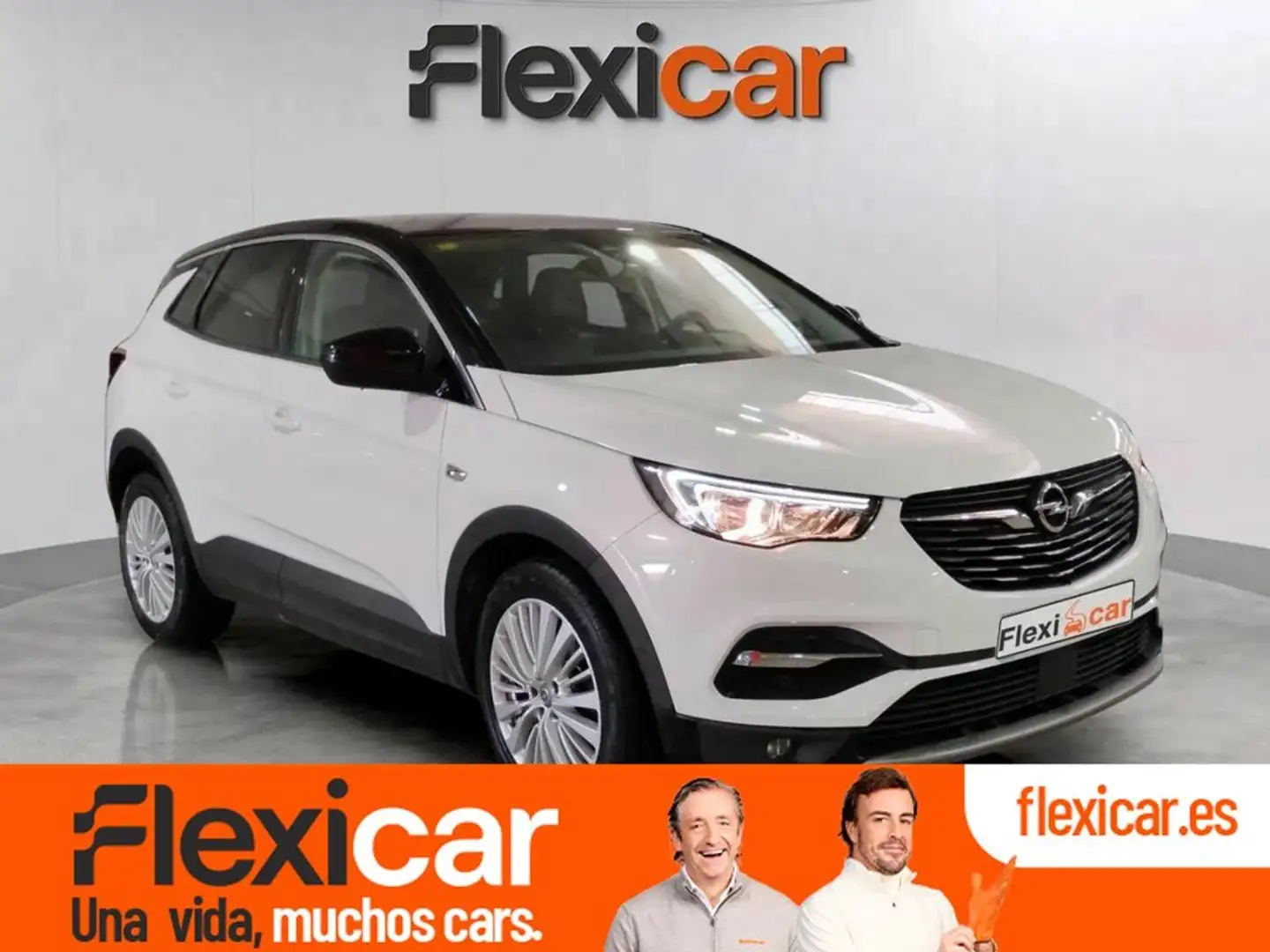 Opel Grandland X 1.6CDTi S&S Excellence AT6 120 Blanco - 2