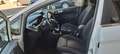 Ford Fiesta Fiesta VI 2013 5p 1.4 Titanium Gpl 95cv E6 Blanc - thumbnail 10