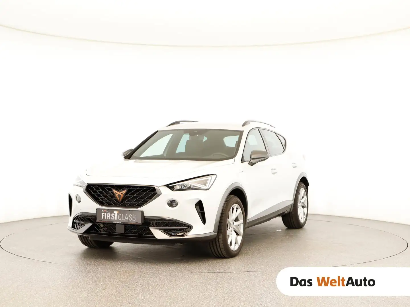 CUPRA Formentor TRIBE e-HYBRID 204 PS DSG Weiß - 1