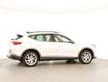 CUPRA Formentor TRIBE e-HYBRID 204 PS DSG Weiß - thumbnail 22