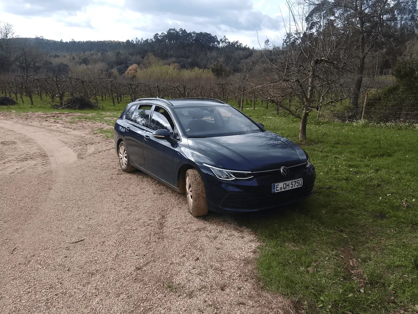 Volkswagen Golf Golf 1.0 TSI 81kW Azul - 1