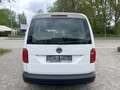 Volkswagen Caddy PKW 1.0TSI 1HAND*Klima* White - thumbnail 6