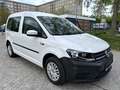 Volkswagen Caddy PKW 1.0TSI 1HAND*Klima* White - thumbnail 3