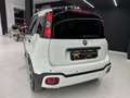 Fiat Panda Panda Cross 1.0 FireFly S&S Hybrid Blanco - thumbnail 9