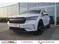 Skoda Enyaq 80 Sport ACC LED ALU Blanc - thumbnail 2