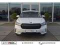 Skoda Enyaq 80 Sport ACC LED ALU Blanc - thumbnail 3