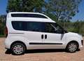 Fiat Doblo Doblò 1.6 TETTO ALTO TRASPORTO DISABILI Bianco - thumbnail 2
