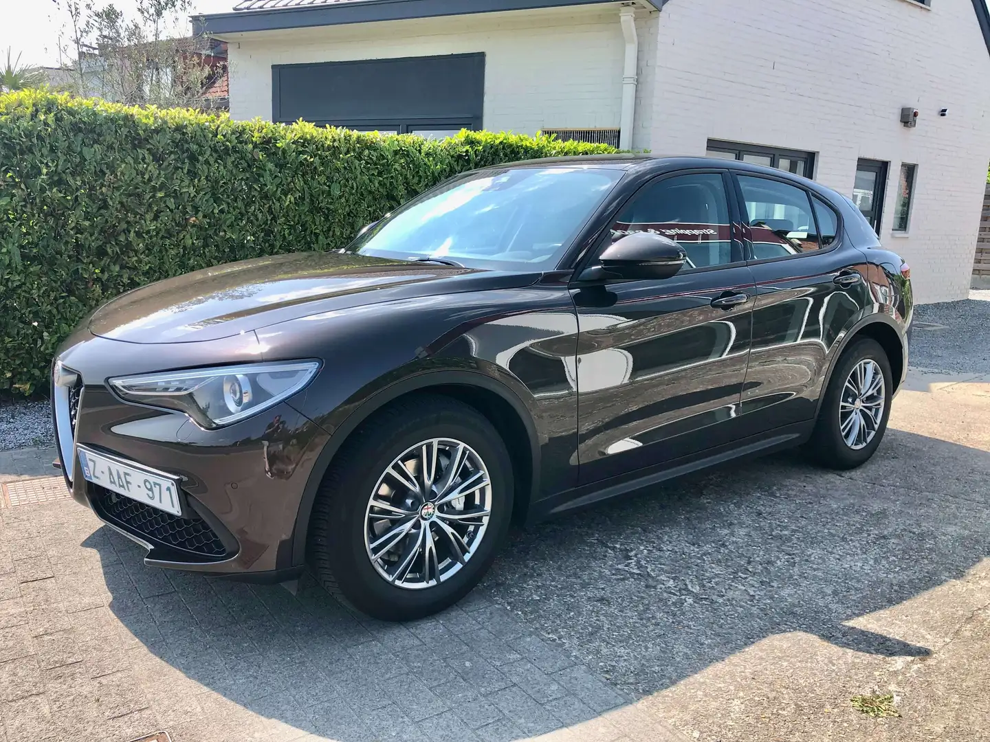 Alfa Romeo Stelvio 2.2 JTDM AUT. Super Brun - 1